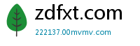 zdfxt.com